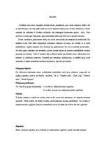 Referāts 'Etnisko pazīmju atpazīstamība restorānu interjeros', 3.