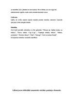 Referāts 'Etnisko pazīmju atpazīstamība restorānu interjeros', 4.