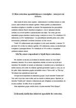 Referāts 'Etnisko pazīmju atpazīstamība restorānu interjeros', 23.