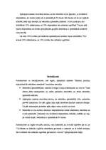 Referāts 'Etnisko pazīmju atpazīstamība restorānu interjeros', 24.