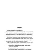 Referāts 'Etnisko pazīmju atpazīstamība restorānu interjeros', 25.