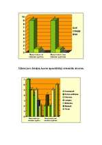 Referāts 'Etnisko pazīmju atpazīstamība restorānu interjeros', 27.