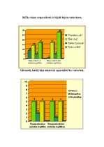 Referāts 'Etnisko pazīmju atpazīstamība restorānu interjeros', 30.