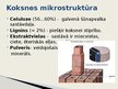 Prezentācija 'Koksne kā konstruktīvs materiāls', 4.