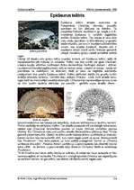 Eseja 'Epidaurus teātris', 1.