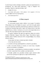 Referāts 'Starptautiskie kravu pārvadājumi un loģistikas risinājumi', 6.