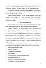 Referāts 'Starptautiskie kravu pārvadājumi un loģistikas risinājumi', 11.