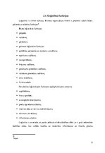 Referāts 'Starptautiskie kravu pārvadājumi un loģistikas risinājumi', 13.