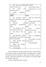 Referāts 'Starptautiskie kravu pārvadājumi un loģistikas risinājumi', 24.