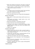 Konspekts 'Jaunākā skolas vecuma bērnu fizioloģiskās īpatnības', 2.