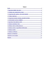 Prakses atskaite 'Prakses atskaite', 1.