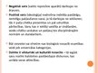 Prezentācija 'Feminisma filosofija', 11.