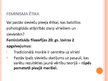 Prezentācija 'Feminisma filosofija', 35.
