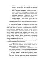 Konspekts 'Sociālais darbs kopienā', 4.