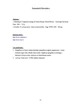 Referāts 'Sociālās kampaņas "Nemēslo mežā" galvenā varoņa Cūkmena atpazīstamība skolēnu vi', 23.