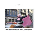 Referāts 'Sociālās kampaņas "Nemēslo mežā" galvenā varoņa Cūkmena atpazīstamība skolēnu vi', 25.