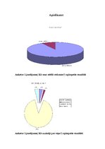 Referāts 'Sociālās kampaņas "Nemēslo mežā" galvenā varoņa Cūkmena atpazīstamība skolēnu vi', 28.