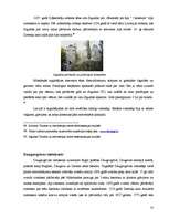 Referāts 'Militāro celtņu liktenis: pieredze un perspektīvas', 24.