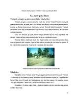 Referāts 'Militāro celtņu liktenis: pieredze un perspektīvas', 33.