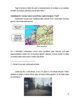 Referāts 'Militāro celtņu liktenis: pieredze un perspektīvas', 49.