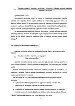 Referāts 'SIA "Gelato" likviditātes rādītāju analīze', 14.