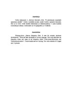 Referāts 'Pasīvais frekvenču filtrs. Tā pielietojums akustiskās aparatūras izstrādē', 3.