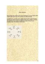 Referāts 'Latviešu godi - bedības', 13.