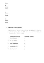 Prezentācija 'Bērna runas pārbaude', 7.