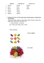 Prezentācija 'Bērna runas pārbaude', 9.