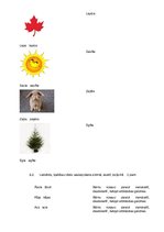 Prezentācija 'Bērna runas pārbaude', 16.