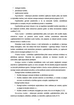 Diplomdarbs 'Finanšu analīze un plānošana uzņēmumā', 17.