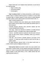 Diplomdarbs 'Finanšu analīze un plānošana uzņēmumā', 19.