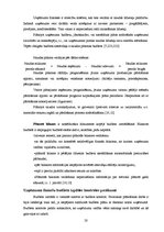 Diplomdarbs 'Finanšu analīze un plānošana uzņēmumā', 20.