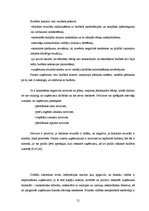 Diplomdarbs 'Finanšu analīze un plānošana uzņēmumā', 21.