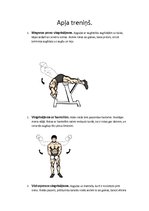 Paraugs 'Apļa treniņš', 1.