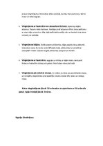 Paraugs 'Apļa treniņš', 2.