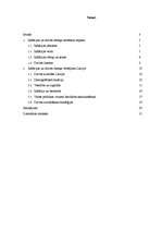 Referāts 'Inflācijas ietekme uz dzīves līmeni Latvijā', 2.