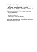 Diplomdarbs 'SIA "Zemnieku sēta" efektivitātes paaugstināšanas iespējas', 4.