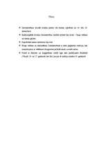 Referāts 'Ziemassvētki', 2.