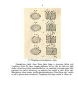Referāts 'Vītnes griešana', 9.