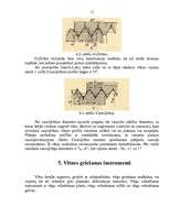 Referāts 'Vītnes griešana', 11.