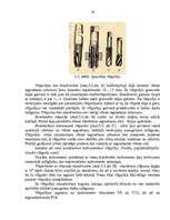 Referāts 'Vītnes griešana', 16.