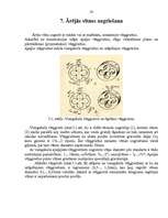 Referāts 'Vītnes griešana', 20.