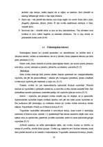 Diplomdarbs 'Tūristu motivācijas loma tūrisma mārketingā', 20.