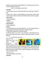 Diplomdarbs 'Tūristu motivācijas loma tūrisma mārketingā', 64.