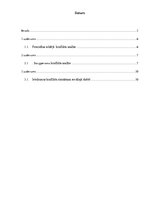 Referāts 'Ieskaites darbs konfliktoloģijā', 2.