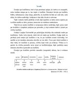 Referāts 'Ieskaites darbs konfliktoloģijā', 3.