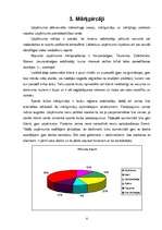 Referāts 'Mārketinga plāns', 6.