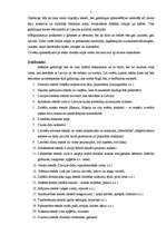 Konspekts 'Mākslas gadatirgus 2008', 5.