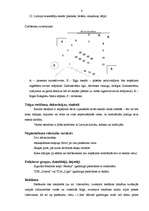 Konspekts 'Mākslas gadatirgus 2008', 6.